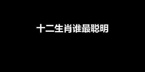 十二生肖谁最聪明（十二生肖中谁最聪明）